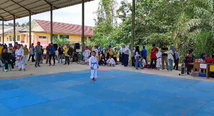 Muhammad Aqil Assabara, Menjadi Wakil Kabupaten Banyuasin Di O2SN Tingkat Provinsi.