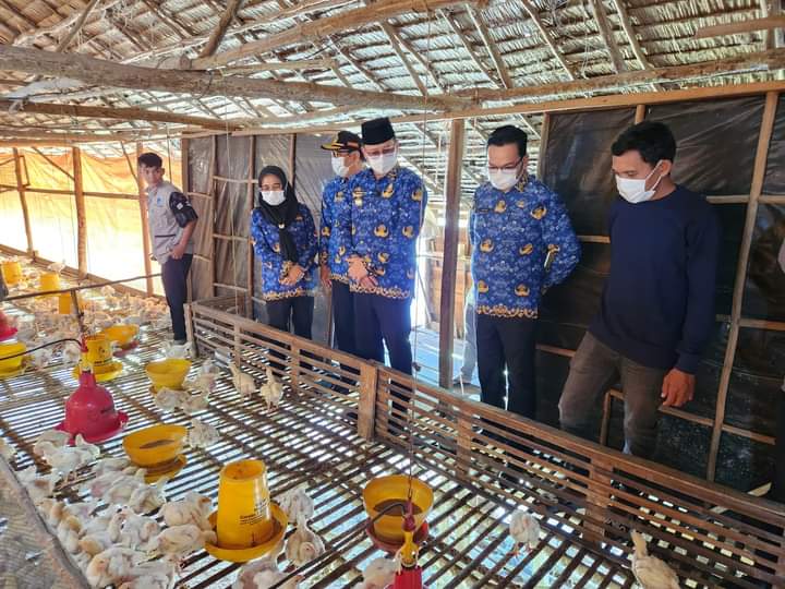 Memperingati Hari Pangan Sedunia, Pj Bupati Banyuasin Monitoring Peternak Ayam di Tanjung Menang.