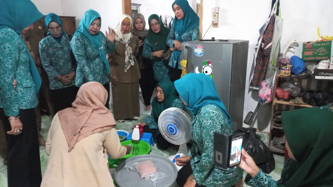 Pj TP PKK Banyuasin Mengapresiasi Inovasi Pempek Sutra Desa Banjar Sari Pulau Rimau.
