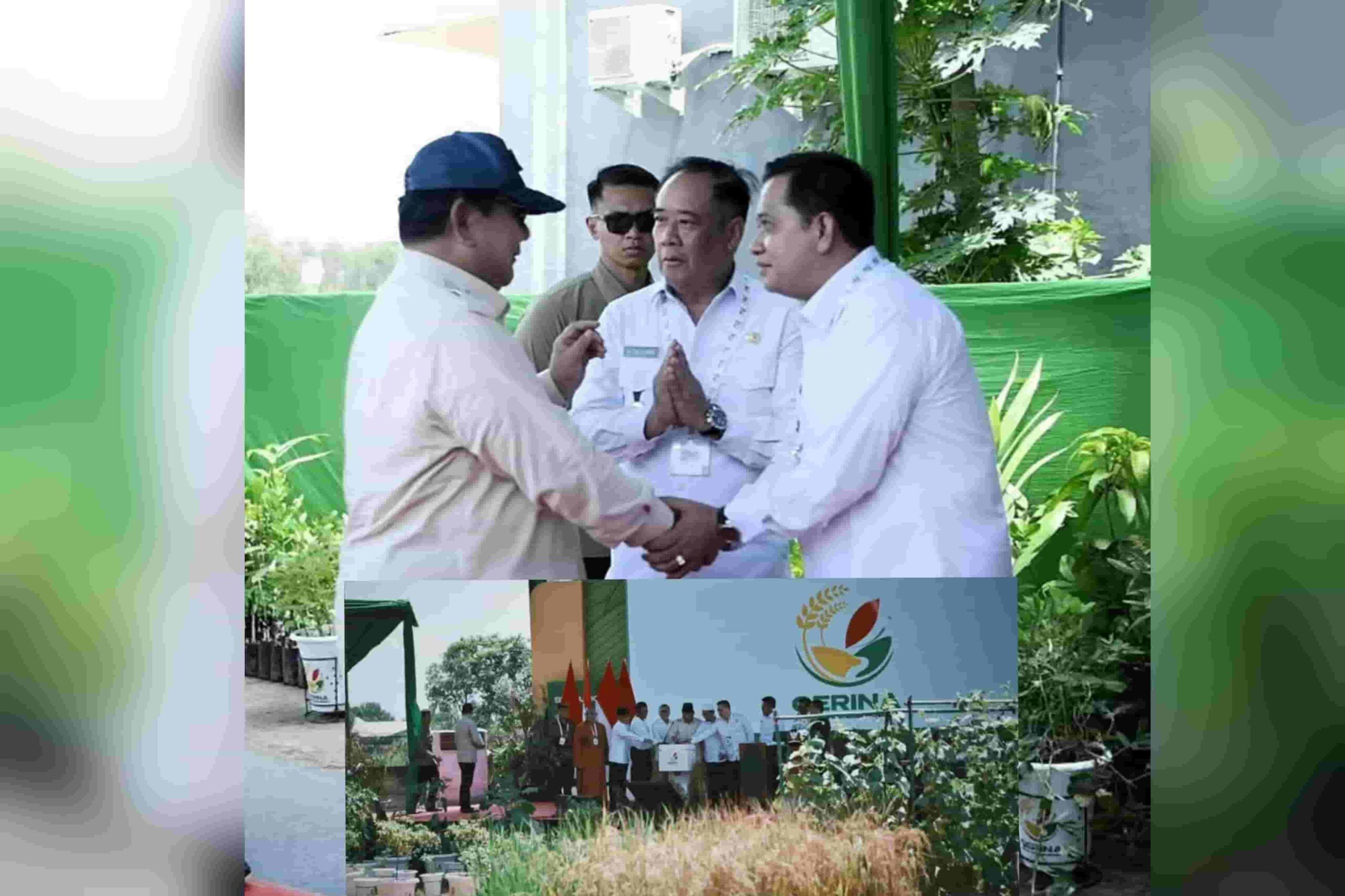 Banyuasin Jadi Titik Nol Gerakan Indonesia Menanam: Prabowo Luncurkan Gerina di Tanah Lumbung Pangan