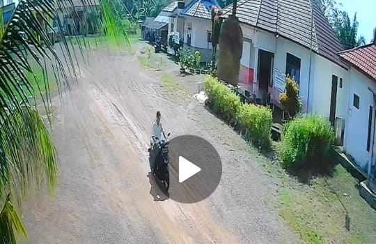 Motor Beat Deluxe Raib Saat Ramai Pasien, Diduga Digondol Maling di Puskesmas Suak Tapeh